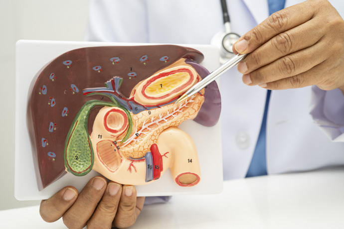 Médico explica proceso de regeneración del páncreas