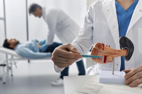 Médicos realizando estudios sobre el páncreas 